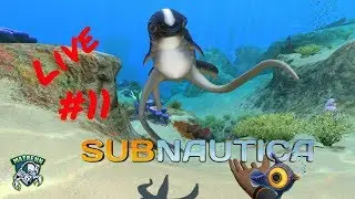 Let's Play Subnautica Together live #11 : Preparing for the main alien facility