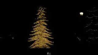 Beautiful Niagara Falls Christmas Lights 2025