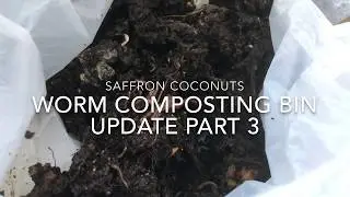 Worm Composting Bin Update Part 3