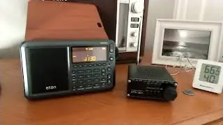 Random Radio Focus!