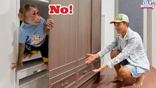 Lily rushed to hide after causing trouble in the kitchen and then... | Lily's story