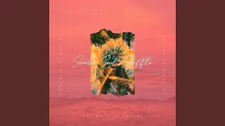 Samba Soul Shuffle