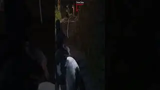 Assassin's Creed Shadows Highlights #assassinscreedshadows ⚔️🔥