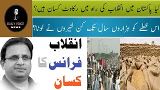 Wheat Crisis in Punjab|انقلاب فرانس کا کسان |Farmers Protest |Urdu Columns