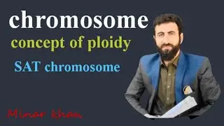 structure of chromosomes pashto lecture