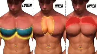 TOP 5 INNER, LOWER AND UPPER CHEST WORKOUT  WITH DUMBBELLS BARBELL CABLE AND MACHINE  AT  GYM