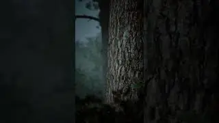 Mysterious Cabin: Unreal Engine 5 Showcase
