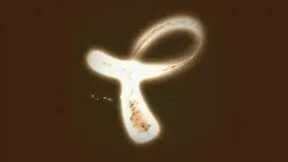 Food Network Canada/BBC Canada/Paperny Films (2007)