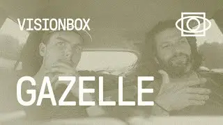 VISIONBOX | The Gazelle