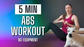 5 Min Ab Workout at Home | No Equipment