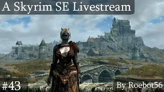 Skyrim SE Livestream: Leaving The Mainland