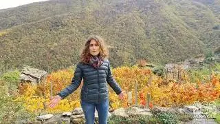 Alla scoperta dell'antico castello di Rezzo