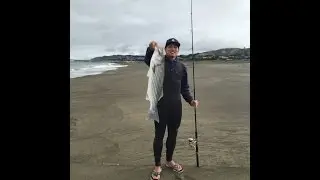 Pacifica Striper Surf Fishing 9 Pounder