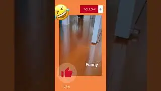 Funny duck running (tiktok viral) #shorts #youtubeshorts #duck #trending