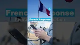 French Response: Fighting disinformation with memes &bull; FRANCE 24 English