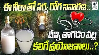 Neera Uses And Health benefits | నీరా తాగడం వలన కలిగే ప్రయోజనాలు | Neera Drink Benefits | Key Life