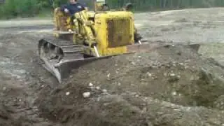 old cat.MP4