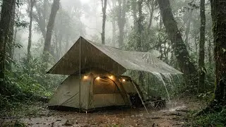 2 Day Camping Heavy Rain  in the Jungle | Tropical ASMR Sleeping Ambience
