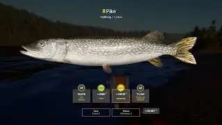 RF4 - Trophy Pike - 12,892kg