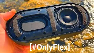 TOZO PA1 [#OnlyFlex]