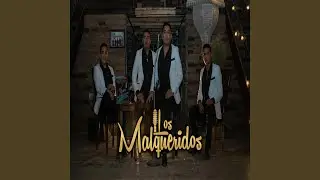 El Tiempo Que Has Llorado