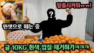 집주인 몰래 크리스마티 파티한 친구들 입에서 샤갈 나오는 미션들로 집에 가두기 ㅋㅋㅋ