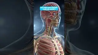 NUCCA Chiropractic for Anxiety & Chronic Pain Relief &ndash; West Bend WI #NUCCAChiropractic