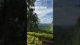 zipline if you dare #zipline #philippines #ytshortsvideo #youtubeshorts