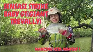 STRIKE IKAN TRAKULU/BABY GT(GIANT TREVALLY)