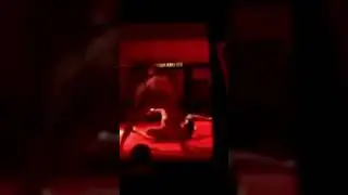MMA fight 😱😱 #shorts  #tsmshorts #conormcgregor  #ufc  #fighting #tsm #viral