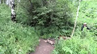 Cataract Lake Videos 070915