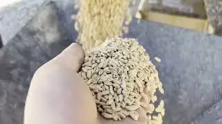 Portable Color Sorter