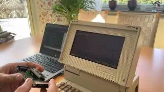 Informer 213 connects to Hercules