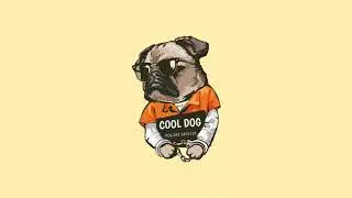 [FREE] Freestyle Type Beat 