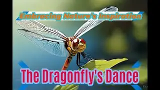 Dragonfly's Inspiration: A Tale of Transformation