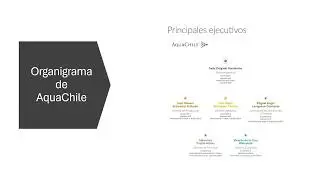 Proceso administrativo de AquaChile