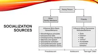 External Influences on Consumer Behavior 4, families as reference groups
