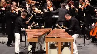 Bogdan Bacanu & Christoph Sietzen play Concerto in D minor by J. S. Bach (1/3)