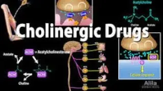 CHOLINERGIC DRUGS