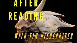 Alive After Reading 168 Edward Willett