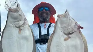 9/1/24 New York Big Fluke Get The Net Freeport Gem charters Go Get&rsquo;em @brothersinbait