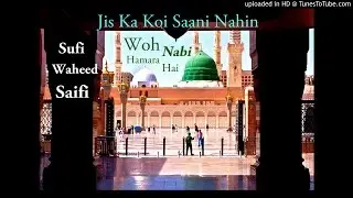 Jis Ka Koi Saani Nahi, Woh Nabi Hamara Hai | Sufi Waheed Saifi
