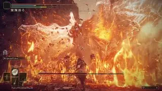 Bayle the Dread (No Hit, NG+3) [Spectral Lance/Pest-Thread Spears]