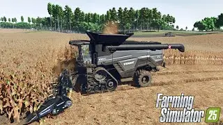 FS25 Realistic | FENDT IDEAL 10T Combine Corn Harvest FS25 ! ReShade Gameplay | Farming Simulator 25
