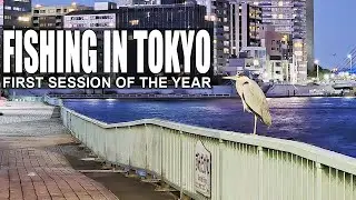 Fishing in Tokyo: First Session of the Year