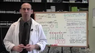 Why Zinc and Copper Play An Important Role in Your Healing Journey | Dr. Robert Selig