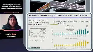 Inclusive Digital Finance in Pandemic Times and Beyond: Challenges and Opportunities