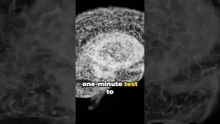 🧠 Left or Right Brain? Find Out in 60 Seconds! | Quick Psychology Test 🕒 #psychology #shorts