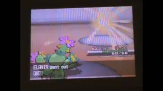 pokmeon battle/ overlord nigel V elania belsey