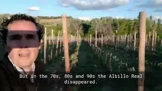 ¡Conozca al bodeguero! / Meet the winemaker! - Esteban Celemín Viticultor